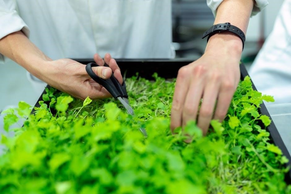 idoo hydroponics growing system manual pdf