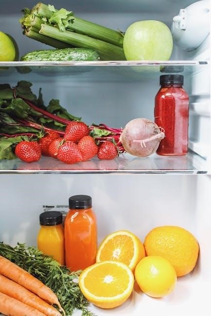 norcold refrigerator troubleshooting guide pdf