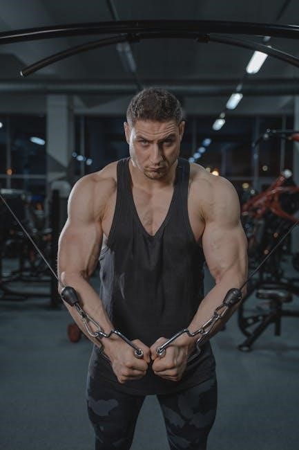 push pull workout plan pdf