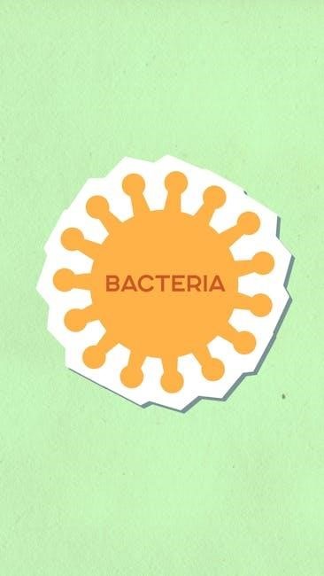 cell graphic organizer answer key pdf